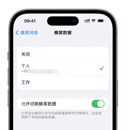 大涌镇苹果维修服务分享如何在iPhone上使用双卡 